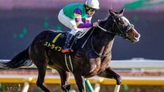 ストライプは桜花賞への直行が有力　クロッカスSを人気に応えVのルーラーシップ産駒