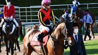 【JRA】ステルヴィオが喉の手術へ　18年マイルCS勝ち馬