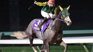 岩手の年度代表馬はフレッチャビアンカに！ ダービーグランプリなどを制覇