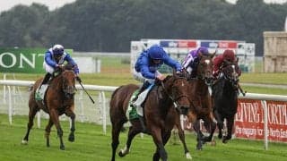 【海外競馬】サウジ招待競走選出の騎手3名が新たに発表、藤田菜七子騎手も出場予定