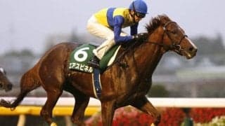 【次走】エアスピネルは鮫島克駿騎手でフェブラリーSへ