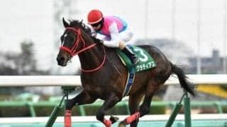 いきなり大物が現れる？「暫定」ムード漂う３歳牡馬ランキング