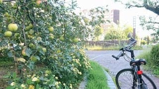 飯田市ポタリング・レポート