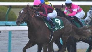 【きさらぎ賞予想】長く良い脚を使うラーゴムに期待