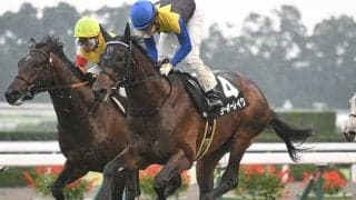 【きさらぎ賞予想】今年は順当な結果に終わりそう!? 攻略のポイントはズバリ「スローペース」と「外差し」！/JRAレース展望