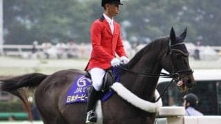 【JRA】サクセスブロッケンが誘導馬引退、21日のフェブラリーSが最後の舞台