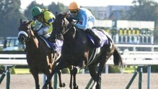 三冠牝馬デアリングタクトが香港G1・クイーンエリザベス2世Cに予備登録