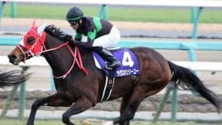 今週末から阪神開催 重賞は京都記念＆共同通信杯＆クイーンC/今週の競馬界の見どころ