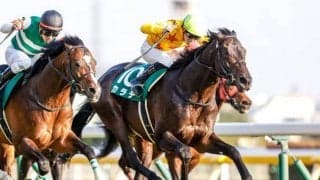 【東京新聞杯結果】カラテが接戦を制し3連勝　人馬ともに重賞初V