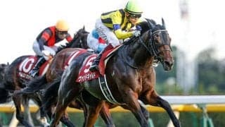 【東京新聞杯・馬体重】ヴァンドギャルドは478kg(+4)、トリプルエースは506kg(+2)