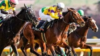 【ゆりかもめ賞結果】紅一点パープルレディーが追い比べを制す