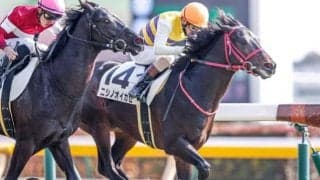 【東京6R新馬戦結果】単勝178.4倍、13番人気のニシノオイカゼがV