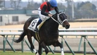 【中京6R新馬戦結果】メモリーエフェクトが逃げ切り新馬勝ち
