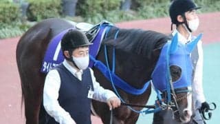 【フェブラリーS】タイムフライヤーは態勢整わず回避