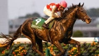 【共同通信杯見どころ】朝日杯FS2着のステラヴェローチェが中心