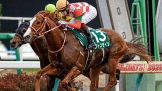 【海外競馬】ジャスティンはサウジからドバイへ転戦、鞍上は坂井瑠星騎手