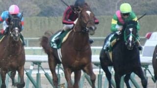 【きさらぎ賞】売上は43億9240万3800円で昨年から増加