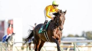 【東京新聞杯回顧】カラテ　今後の展望が大きく広がる重賞初制覇/栗山求コラム