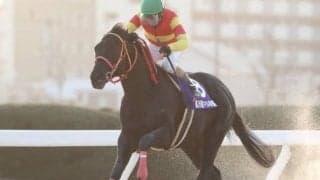 【梅見月杯】重賞20勝のカツゲキキトキトは1枠1番、南関東のスギノグローアップは5枠5番