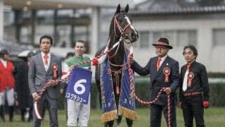 2019年年度代表馬リスグラシューの初仔が誕生、父はGI・6勝のモーリス