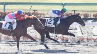 【新馬/東京4R】リアルインパクト産駒 キャビアがデビューV