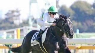 【新馬/東京6R】ディープインパクト産駒 カイザーバローズがデビューV