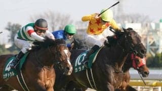 【東京新聞杯】カラテが抜け出す！人馬ともに重賞初制覇