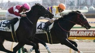 【新馬/東京6R】単勝178倍超！伏兵ニシノオイカゼがVで波乱