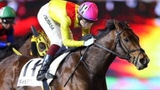 【報知グランプリC】地方初V挙げたコズミックフォースは7枠12番、DG2勝のサルサディオーネは5枠8番