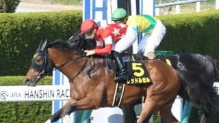 【フェブラリーS出走馬決定順】フルゲート16頭に23頭の登録　回避がなければヘリオスまで出走可能