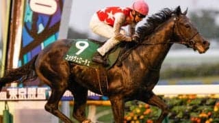 【共同通信杯 出走馬決定順】フルゲート16頭に13頭で除外はなし　3頭は別のレースにも登録