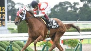 【クイーンC展望】活躍馬続出の3歳牝馬限定戦、あの馬の巻き返しを期待したい