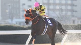 【名古屋・梅見月杯結果】ノーブルサターンが圧勝で重賞初制覇
