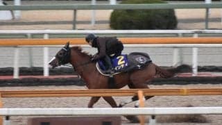 インティ、フェブラリーS1週前追い切り速報/栗東トレセンニュース