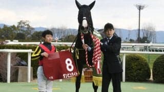 【京都記念展望】今年は阪神で行われるGIへのステップレース