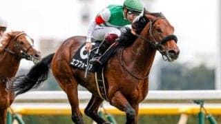 【共同通信杯展望】GI馬多数輩出の出世レース、注目はあの馬