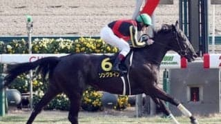３歳牝馬番付は「２強」状態。クラシックまでに新星登場への期待膨らむ