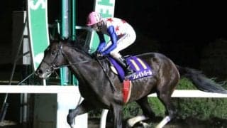 【佐賀記念 見どころ】JRAからクリンチャーら、地元からグレイトパールらが参戦