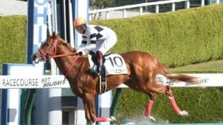 【サウジダービー】フランスゴデイナが熱発によりサウジ遠征を取りやめ、目標はUAEダービーに