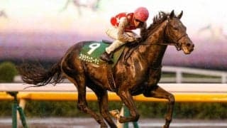 【共同通信杯出走馬・騎手確定】ステラヴェローチェ＆横山典弘騎手、シャフリヤール＆福永祐一騎手など12頭