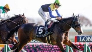 【クイーンC出走馬・騎手確定】アカイトリノムスメ＆戸崎圭太騎手、リフレイム＆木幡巧也騎手など16頭