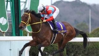 【佐賀記念結果】クリンチャーが断然人気に応え9馬身差V！