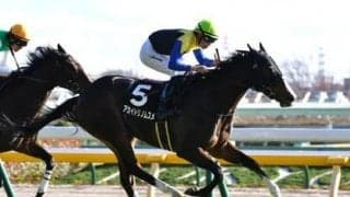 クイーンＣは過去10年の「勝利条件」から本命、穴馬をピックアップ