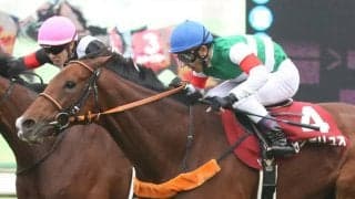 センテリュオが競走馬登録抹消