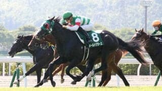メールドグラースが競走馬登録抹消