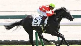 「クラシックへ行くと決めた」レッドベルオーブ。「距離は大丈夫」と陣営