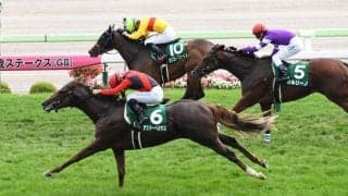 アスターペガサスが競走馬登録抹消