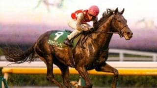 【本日の注目ポイント】東京で共同通信杯、阪神で京都記念