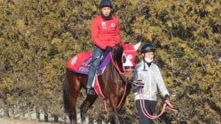 【京都記念】上昇気配！ラヴズオンリーユー陣営「いい雰囲気、結果が残せれば」/ねぇさんのトレセン密着