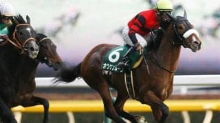 【共同通信杯予想】暑いと人気薄が激走する!? “気象予想”から浮上してきた「激走注目馬」は？/JRAレース展望